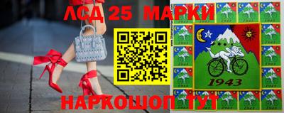 метадон Сланцы