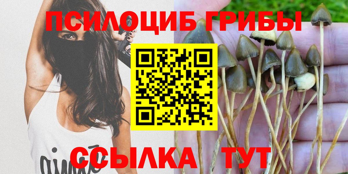 Оренбург  Галлюциногенные грибы Cubensis  Псилоцибиновые грибы прущие грибы  Вход с VPN 